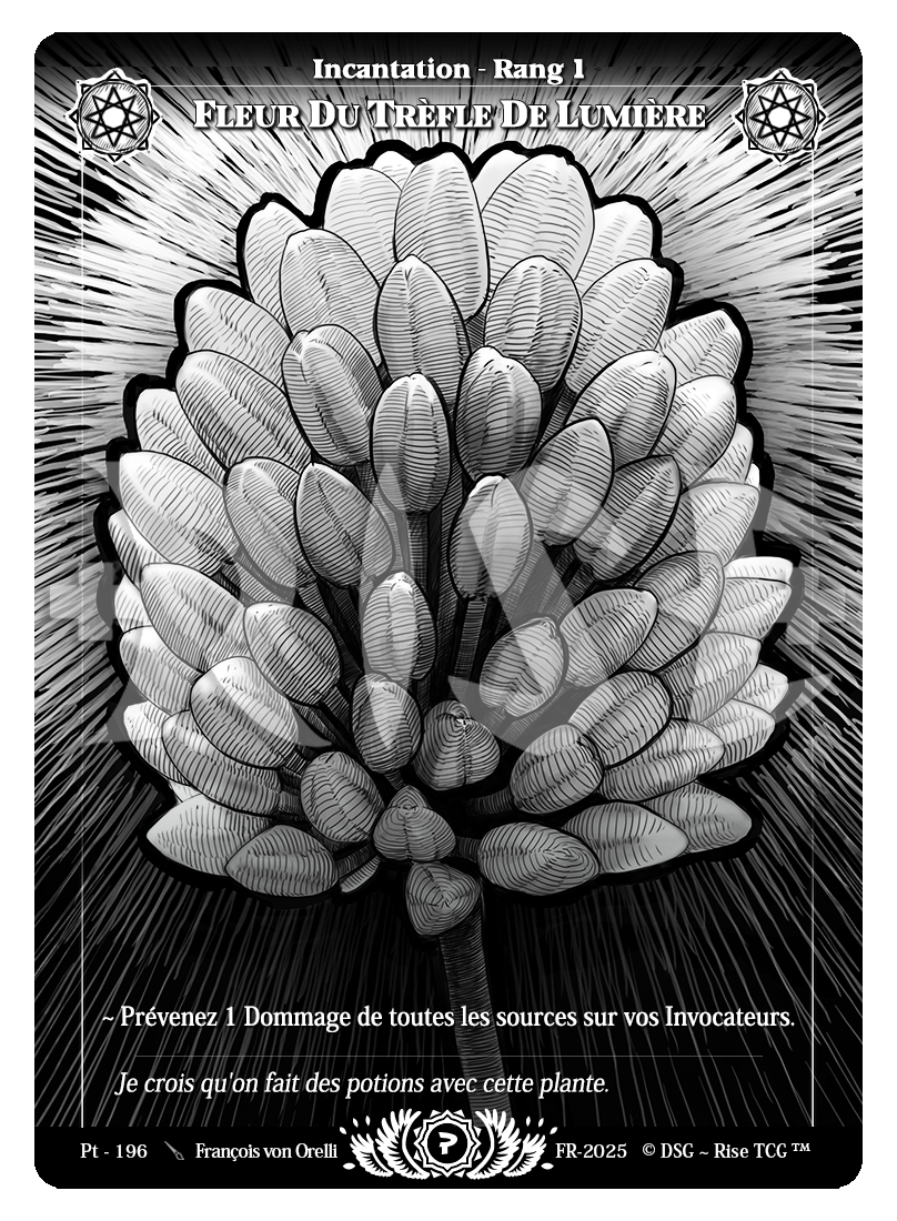 Fleur Du Trèfle De Lumière