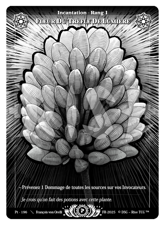Fleur Du Trèfle De Lumière